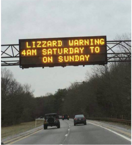 lizardwarning