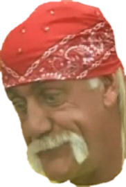 hogan